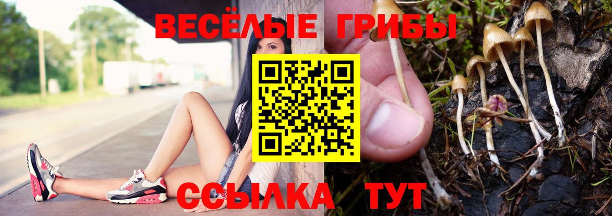 Конопля Гусиноозёрск